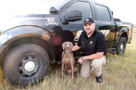 How to Remove Odors from Your K9 Vehicle and K9 Bullet Proof Vest